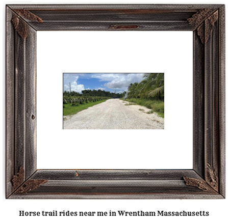 horse trail rides near me in Wrentham, Massachusetts